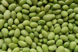 frozen soy bean kernel